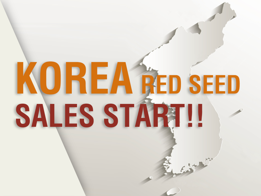 KOREA  RED SEED 韓国にて販売開始!!